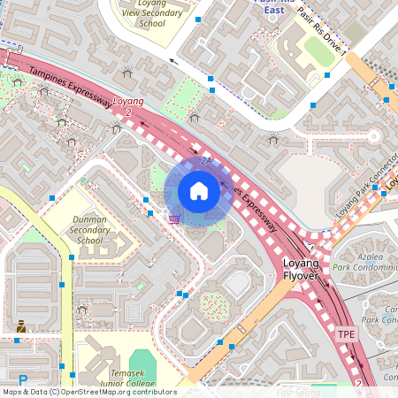498F Tampines Street 45 (524498), Singapore