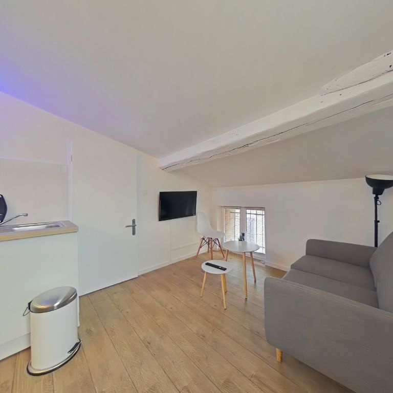 Location Appartement 1 pièce Meublé 19m² ROMANS SUR ISERE 26100 - Photo 1
