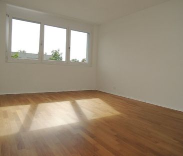 Your new oasis of well-being - Photo 5