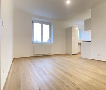 Vollsanierte Altbauwohnung - Drei Zimmer Wohnung im Zentrum von Krems - Photo 5