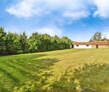 3 bedroom bungalow to rent - Photo 5