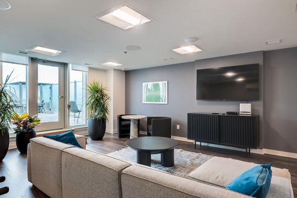 Studio, 1 Bedroom and 2 Bedroom Apartment for Rent in Ottawa. - Photo 1