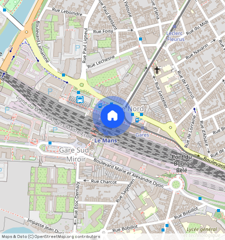 SARTHE (72), - PAYS-DE-LA-LOIRE, LE MANS (72100)