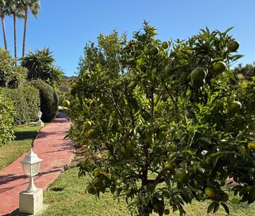 Apartment in Estepona, Costa del Sol - Photo 2