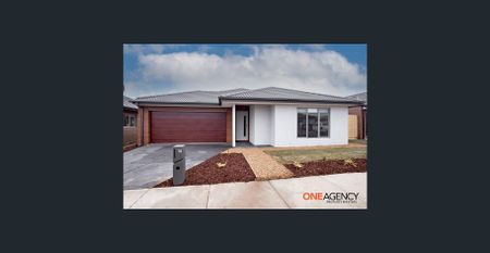 Spacious 4 Bedroom Family Home in Smythes Creek - Photo 4