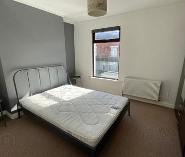 12 Halstein Drive, Ballyhackamore, Belfast, BT5 6JQ - Photo 4