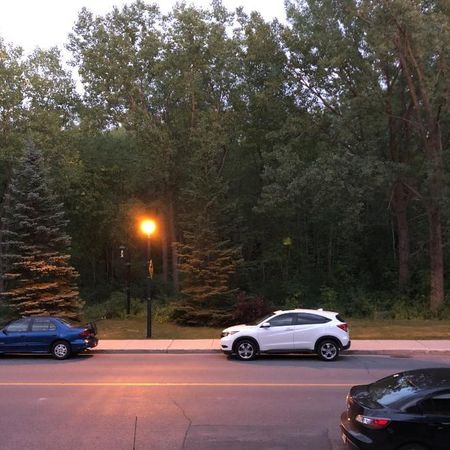 4 ½ lumineux face au boisé – Ahuntsic – Thermopompe - Photo 4