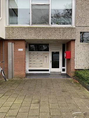 Te huur: Appartement Rolandseck 2 in Doorwerth - Foto 1