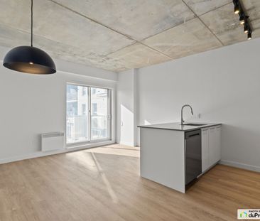 222-5630, rue de Marseille, Mercier / Hochelaga / Maisonneuve à louer - Photo 2