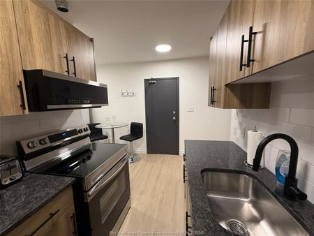 For Lease - 808 OTTAWA Street Unit# 3, Windsor, Ontario - Photo 3
