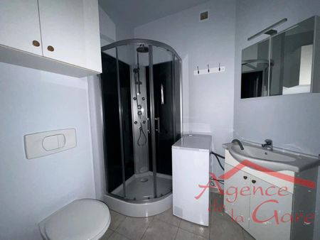 Location Appartement 1 pièce 20m² SEZANNE 51120 - Photo 5