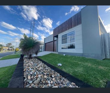 33 Joseph Court, Glenella, Qld 4740 - Photo 5