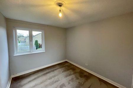 Lancewood Walk - Photo 4