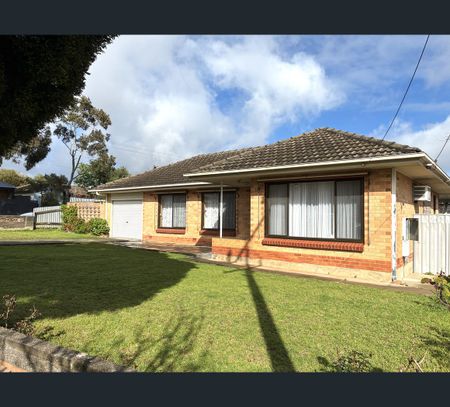 20 Thurles Street, St Marys, SA 5042 - Photo 5