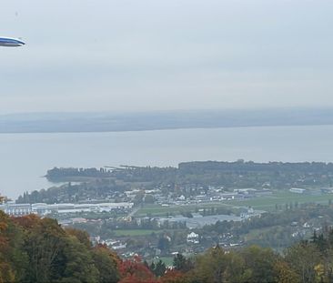 Suche Nachmieter für Studio Bodenseeblick mit gr. Balkonr in Wienacht - Foto 5