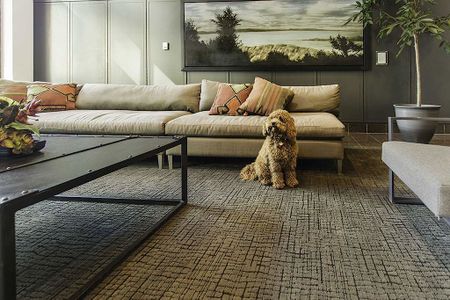 185 Lyon Street North, Centretown, Ottawa, ON - Photo 2