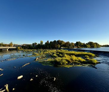 3 ½ à Louer, Beau Secteur! - Photo 3