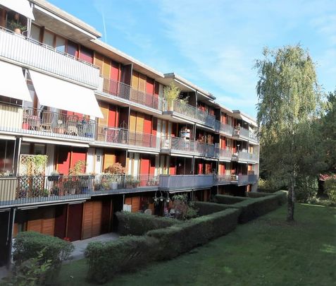 Altersgerechte Wohnungen Nahe dem Dorfzentrum - Foto 1