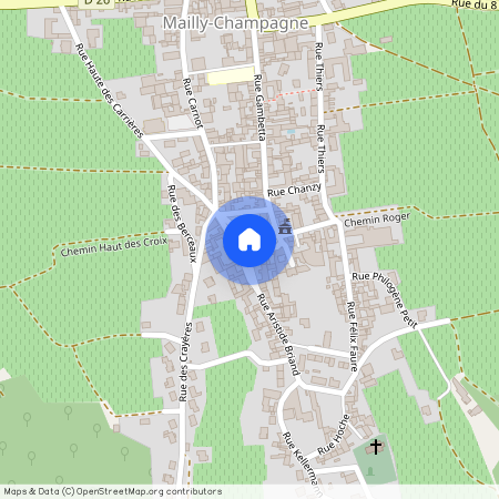 012 RUE ARISTIDE BOUCHE, 51500, Mailly-Champagne