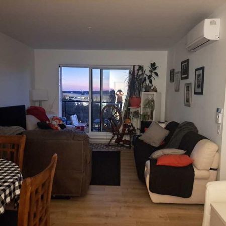 4 demi + Bureau/DROIT chiens et chats - Photo 3