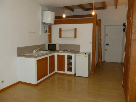 Location appartement 1 pièce - 22.93m² à Grenoble (38000) - Photo 1