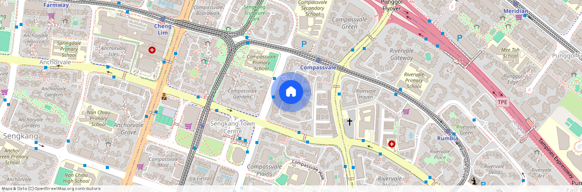 245 Compassvale Road (540245), Singapore