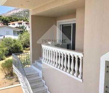 Μονοκατοικία για ενοικίαση Θρακομακεδόνες (Αχαρνές) - Photo 5