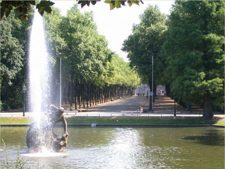 1.5 Zimmer in Düsseldorf - Photo 5