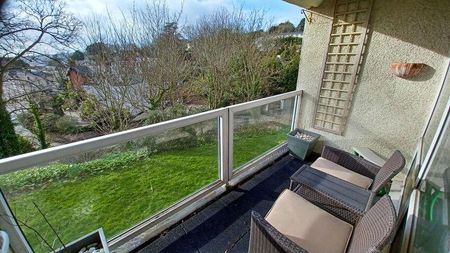 Old Torwood Road, Torquay, TQ1 1PX - Photo 4