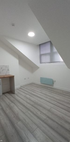 Studio Flat, Gleneldon Road, SW16 - Photo 1