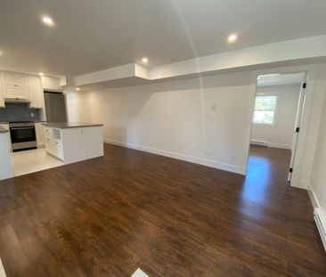 4823 Vista View Crescent – Lower - Photo 6