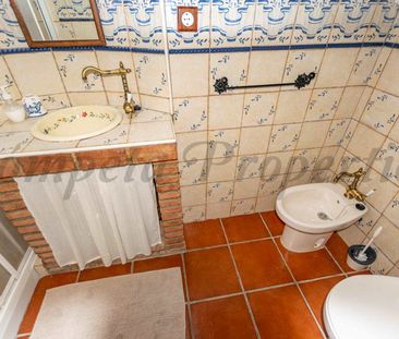 Country Property in Sedella, Inland Andalucia in the mountains - Photo 5