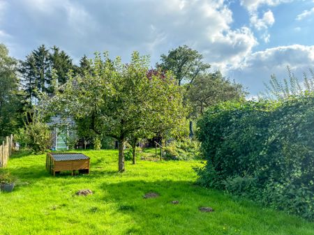 Rarität für echte Naturliebhaber: Einfamilienhaus mit schönem Gartengrundstück und Dachterrasse - Foto 5