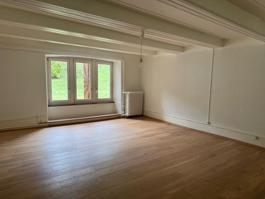 Cressier/NE: Very spacious apartment in historic center - Photo 1