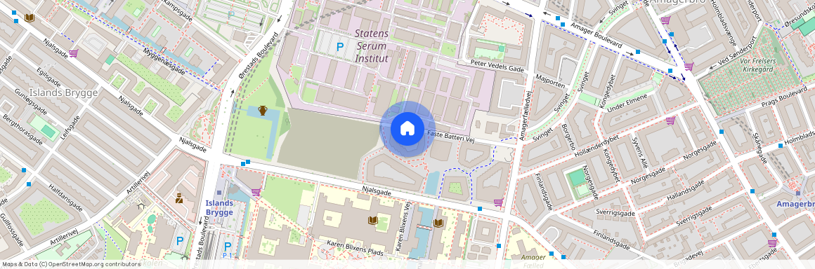 Faste Batteri Vej 58, 5. th., Gislegård, 2300 København S