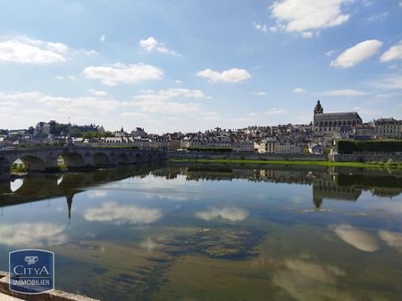 Location Appartement 1 pièce 40m² BLOIS 41000 - Photo 3