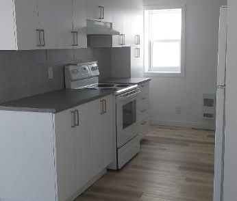 3 et demi Farnham. rénové, moderne, droit au chat, proche de tout ! - Photo 3