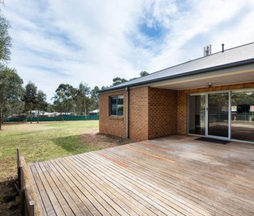 19 Palmerston Street, Newstead - Photo 3