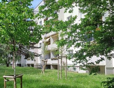 Liebevoll sanierte Wohnung in ruhiger Lage, zeitnahe Anmietung möglich! - Foto 1