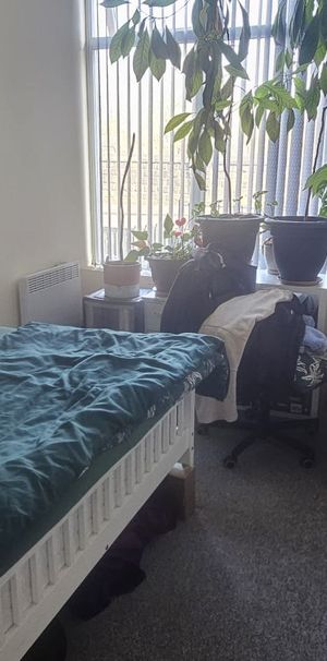 1 Bed - 27a Noster Terrace, Beeston, Leeds - LS11 8QF - Student/Professional - Photo 1