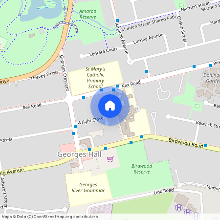 7 Wright Close, NSW 2198, Georges Hall