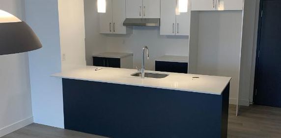 Superbe 4 1/2 , LÉVIS, (St-David) 3ieme étage, air clim, 1 STATIONNEMENTS EXTÉRIEURS INCLUS, LIBRE LE 1ier juillet 2026. - Photo 2