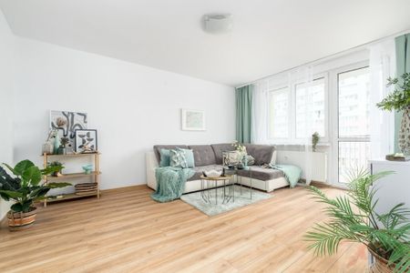 MIESZKANIE na WYNAJEM SZCZECIN (437672) - Zdjęcie 3