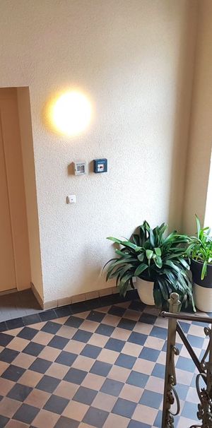 Gemütliche 1-Raum-Wohnung im sanierten Altbau im Zentrum von Chemnitz - Foto 1
