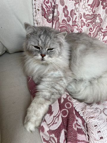 Balwyn North - Photo 2