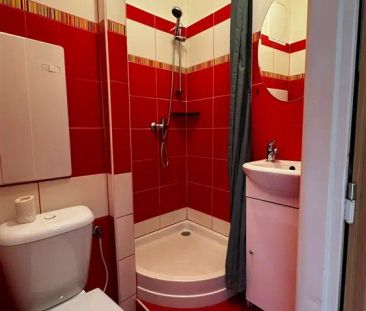 Krásně zrekonstruovaná nezařízená garsoniéra k pronájmu na ulici Ge... - Photo 2