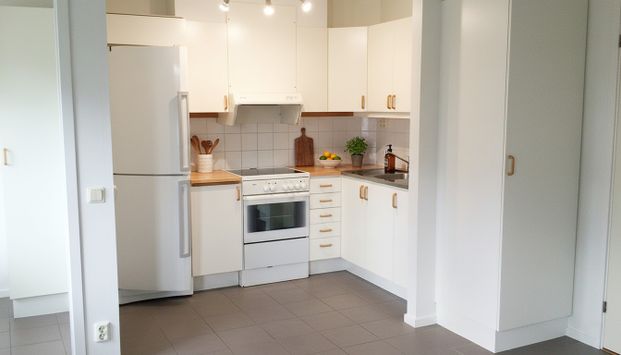 Solberga: Etta i markplan - Photo 1