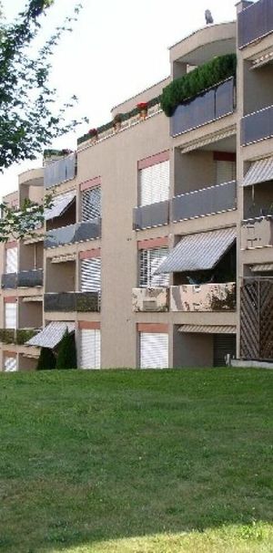 "Attika-Wohnung mit Blick auf den Jura" - Photo 1