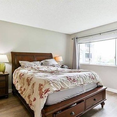 2 Bedroom + Den - Langley Central - Photo 3