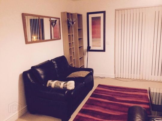 15 Mill Pond, Doagh, Doagh, BT39 0PL - Photo 1